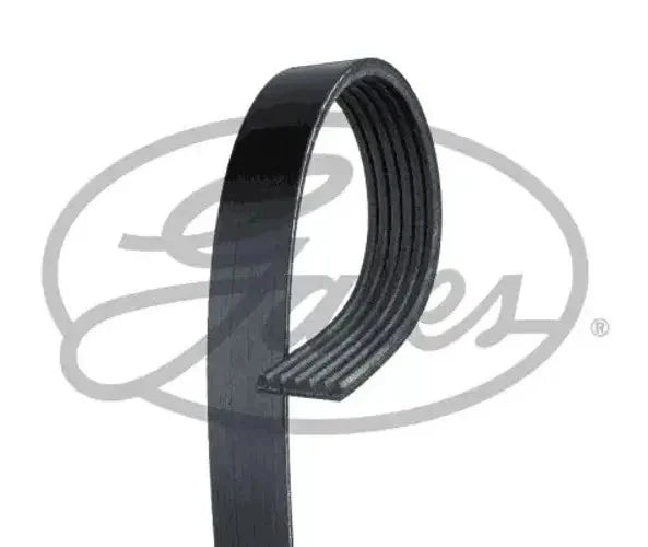 GATES Micro-V 6PK1255 Courroie Poly-V 1255mm, 6, RoadMax™ Value Line