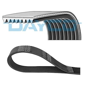 DAYCO 8PK1240HD Courroie Poly-V