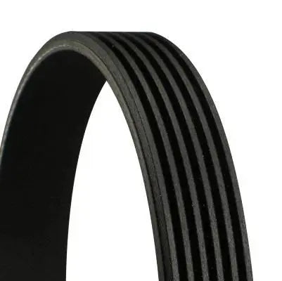 CONTITECH 6PK2115 Courroie Poly-V CONTINENTAL