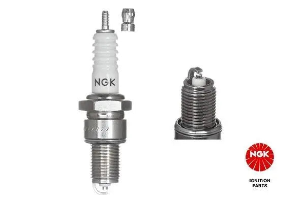 NGK 7811 BP6ES Bougie d'allumage 1 pièce NGK