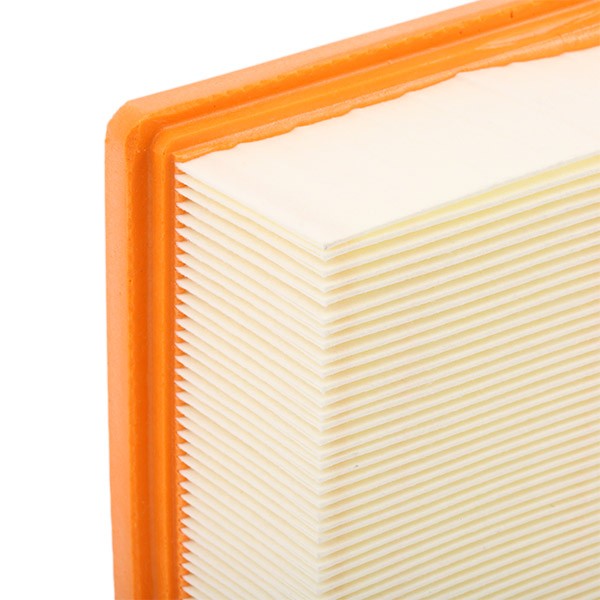PURFLUX A1315 Filtre à air
