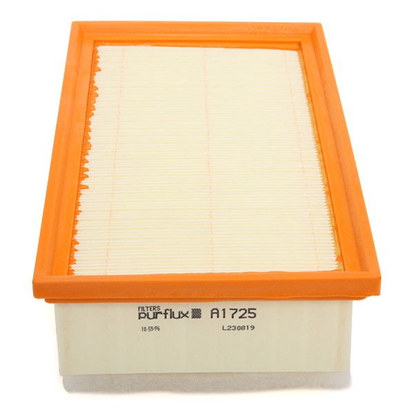 PURFLUX A1725 Filtre à air
