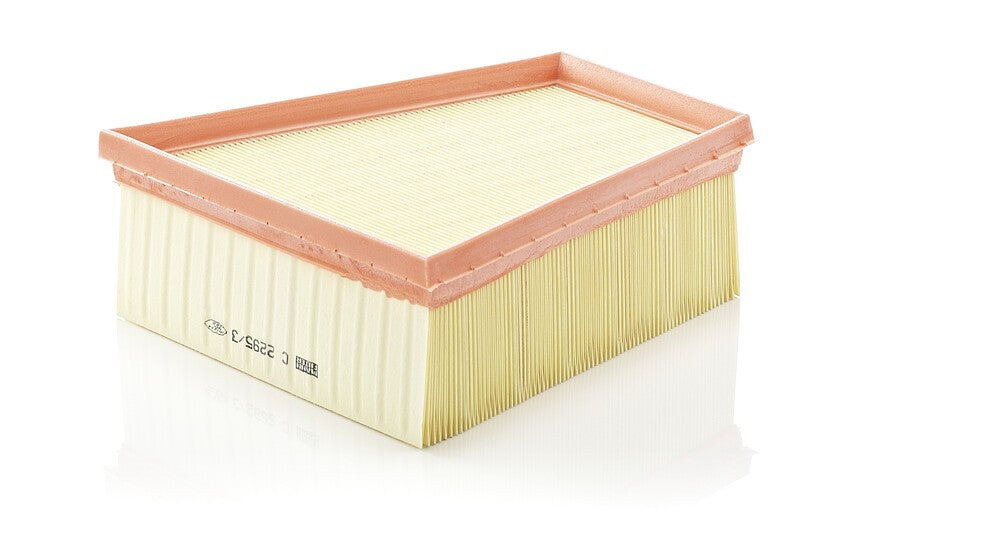 MANN-FILTER C 2295/3 Filtre à air