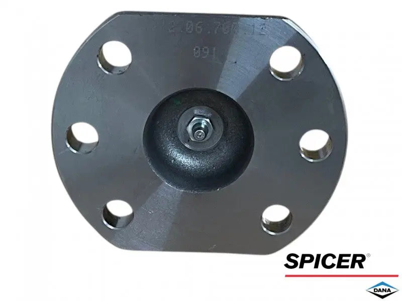 PIVOT INF MANITOU 564898 212.06.700.12 85815845 212.06.700.04 DANA Spicer