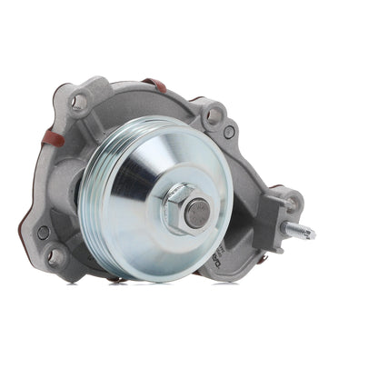 DAYCO DP2174 Pompe à eau