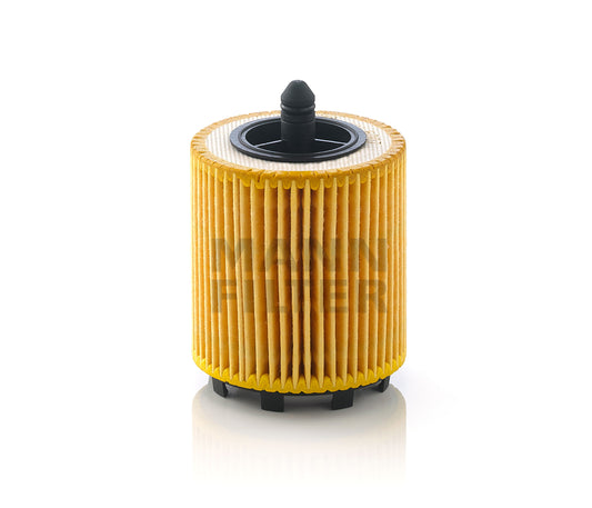 MANN-FILTER HU 6007 x Filtre à huile