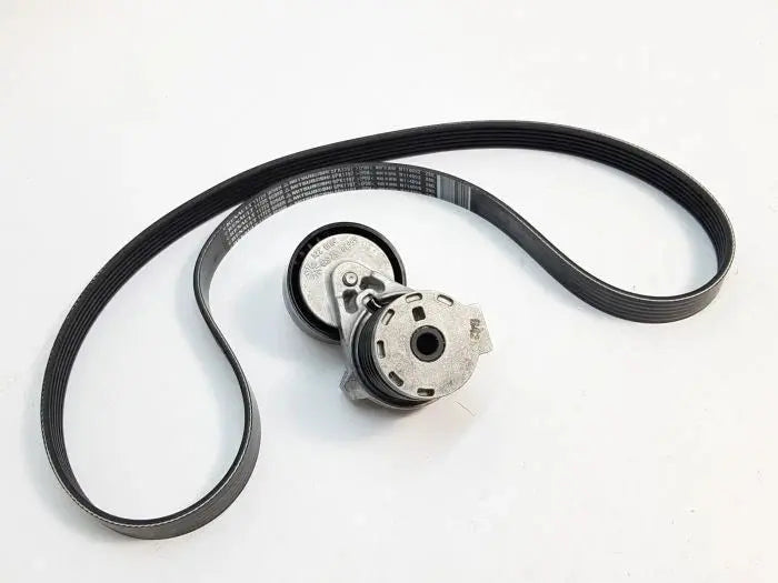Renault 117202495R KIT Courroie d'accessoire d'origine RENAULT