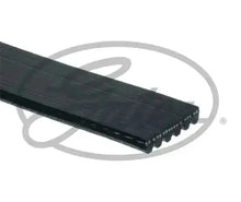 GATES 6PK1255  Micro-V Courroie Poly-V 1255mm, 6, RoadMax™ Value Line GATES