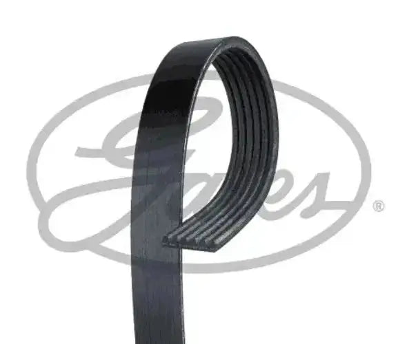 GATES 6PK1183 Micro-V Courroie Poly-V GATES