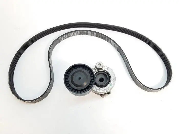 Renault 117202495R KIT Courroie d'accessoire d'origine RENAULT