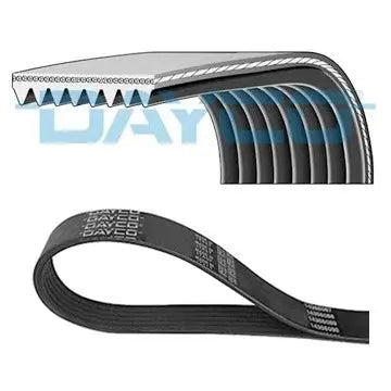 DAYCO 8PK1240HD Courroie Poly-V DAYCO