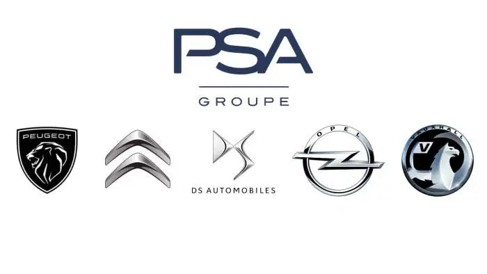 PSA PEUGEOT CITROEN 9809831880 Arret De Portes Original à Arrière - GR PARTS