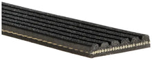 GATES Micro-V 6PK975 Courroie Poly-V - GR PARTS