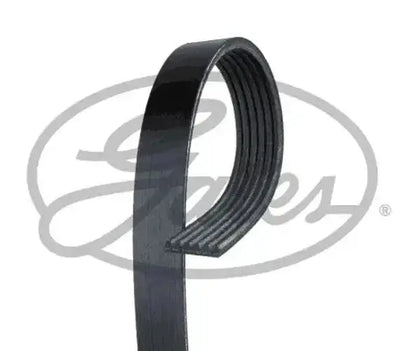 GATES Micro-V ESTART 6PK1005EST Courroie Poly-V GATES