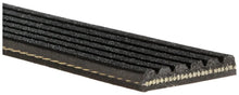 GATES Micro-V 6PK1003 Courroie Poly-V GATES
