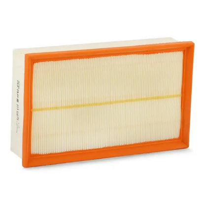 PURFLUX A1565 Filtre à air PURFLUX